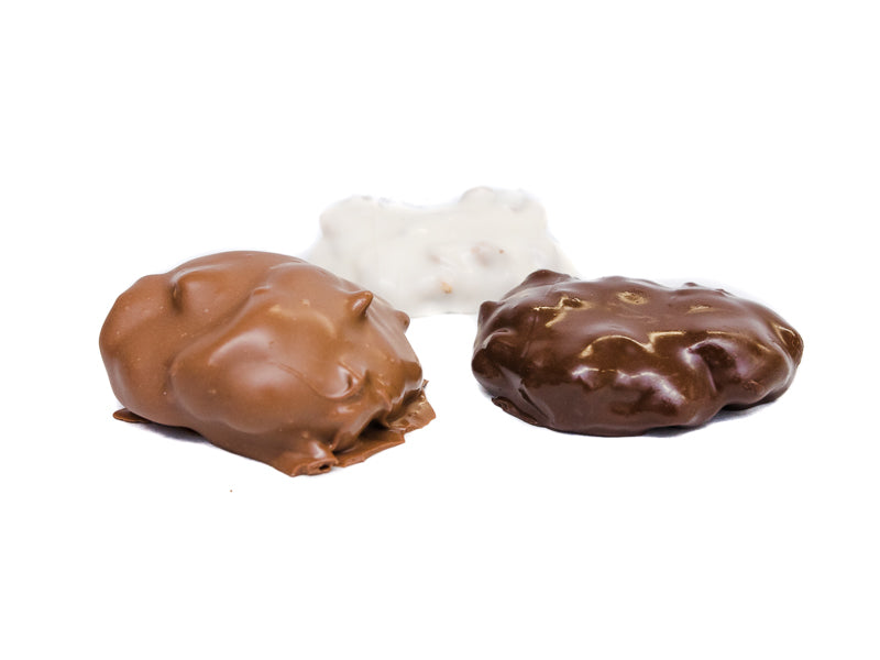 Louisiana Tortoises in Gift Tin